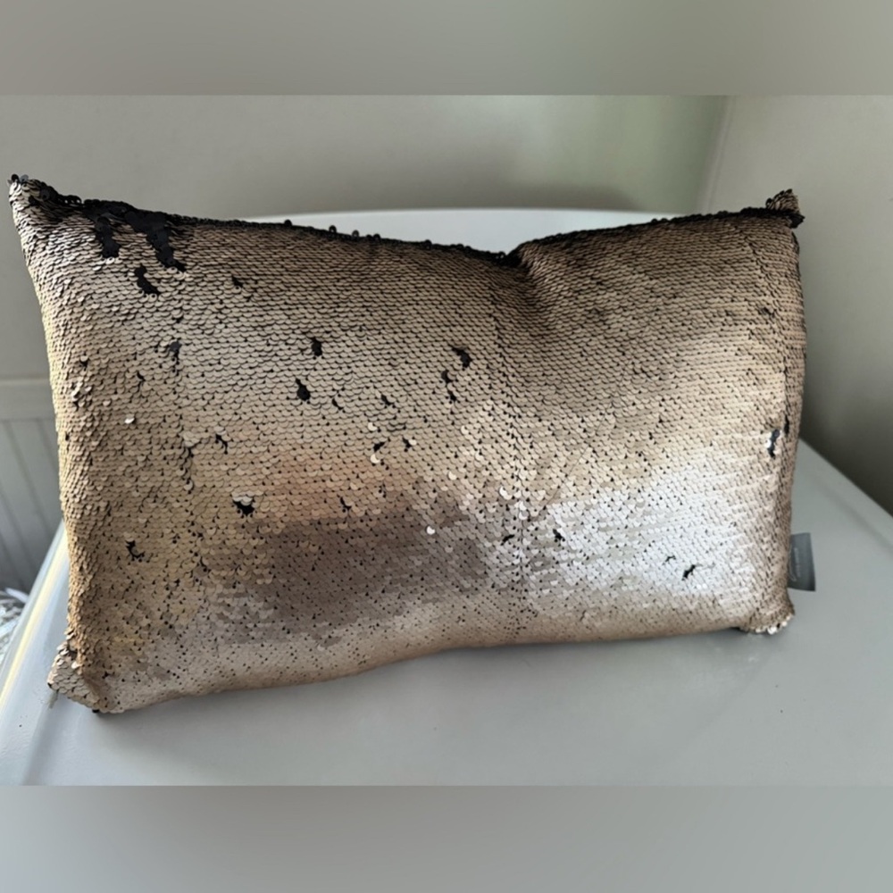 Aviva Stanoff SET of pillow reversible sequins. Brush the sequins.